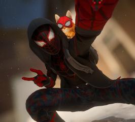 The End Bodega Cat Suit