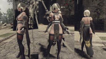 Shinobi Outfit for 2B