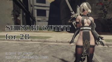 Shinobi Outfit for 2B