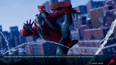 Black Grey and White Cat