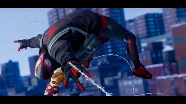 Black and Red Spider Cat Suit