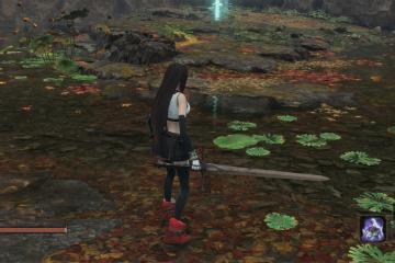 Dark Souls Astora Greatsword Replace Kusabimaru