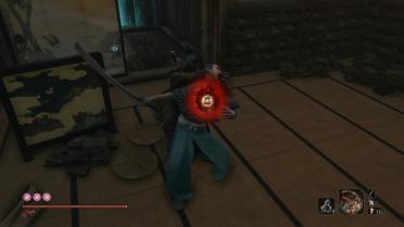 Easy Mode and Accessibility Options for Sekiro