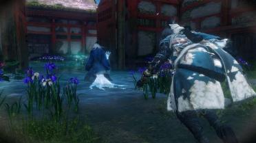 Shinobi of Wind and Thunder