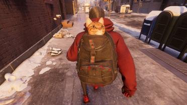 Remove Spider-Cat's Mask