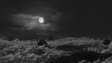 Black And White Reshade