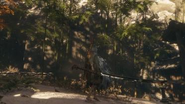 The Legacy of Guardian Ape