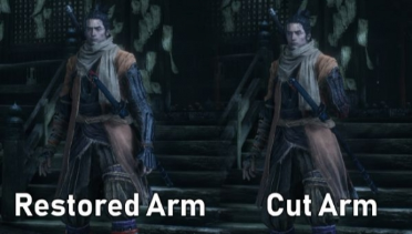 Restored Arm and Cut Arm Mod