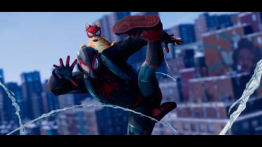 Black and Red Spider Cat Suit