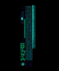 Shinto Moonlight Sword