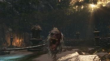 The Legacy of Guardian Ape