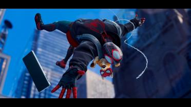 Black and Red Spider Cat Suit