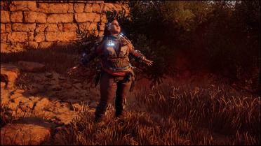 Aloy the Chubby Shield Weaver