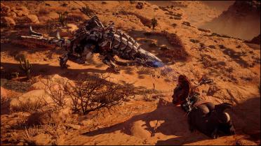 Aloy the Chubby Shield Weaver