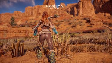 No Skirt for Aloy