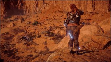 Aloy the Chubby Shield Weaver