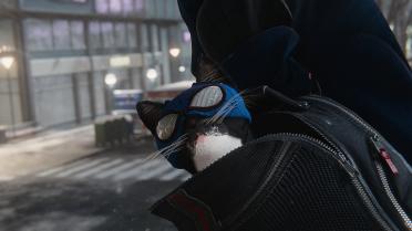 The Fantastic Bodega Cat Suit