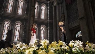 Flowers Blooming In The Church