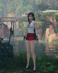 Tifa Schoolgirl Outfit