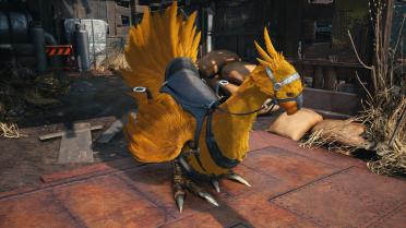 Chocobo Colours
