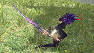 Domain of Sanction (from Honkai Impact 3rd)