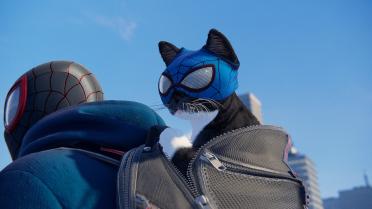 The Fantastic Bodega Cat Suit