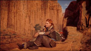 Aloy the Chubby Shield Weaver