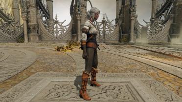 Witcher 3 Ciri