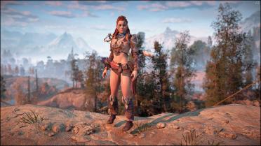 Skimpy Shield Weaver Armor