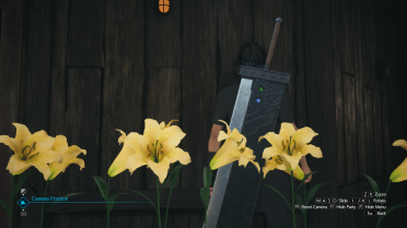 Better Yellow and White Flowers