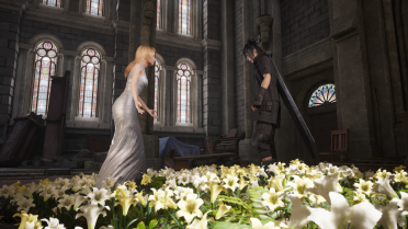 Better Yellow and White Flowers