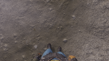 4K Lookout Swampscape