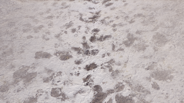 4K Anchorage Snowscape