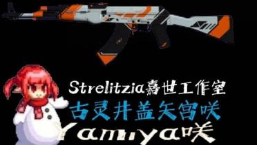 AK-47 Disimov replace p5