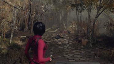 Ada replaces Leon Default Costume