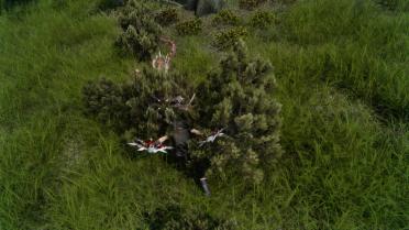 Kingdom Hearts - Eternal Flame