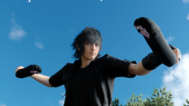 Cat's Claw Meatballs