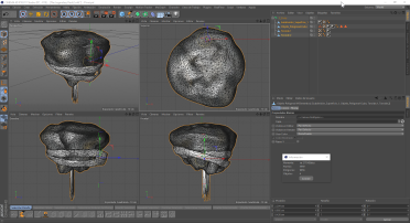 The Legendary Rock (without the sword)