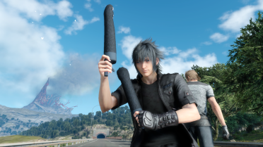 Cat's Claw Meatballs