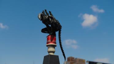 The Xenomorph Symbiote