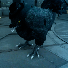 Chickchocobo (for Ardyn)