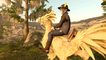 Chocobo Hunter Noctis Outfit
