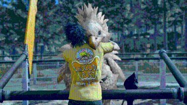 Wiz Chocobo Post 01
