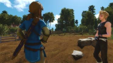 Link (Champion's Tunic)