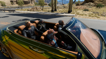 Cor In ten years (for Gladiolus)