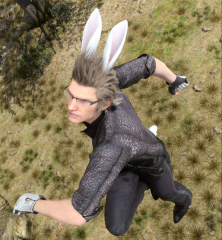 Ignis Rabbit