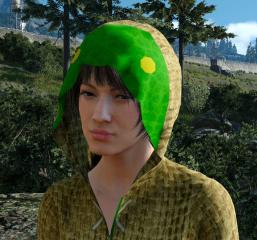 Tonberry hoodie (female multi)