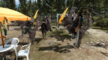 Umbra (Chocobo for riding)