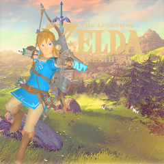 Link (Champion's Tunic)