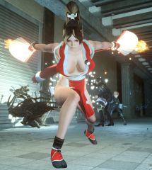 Mai Shiranui's Fan